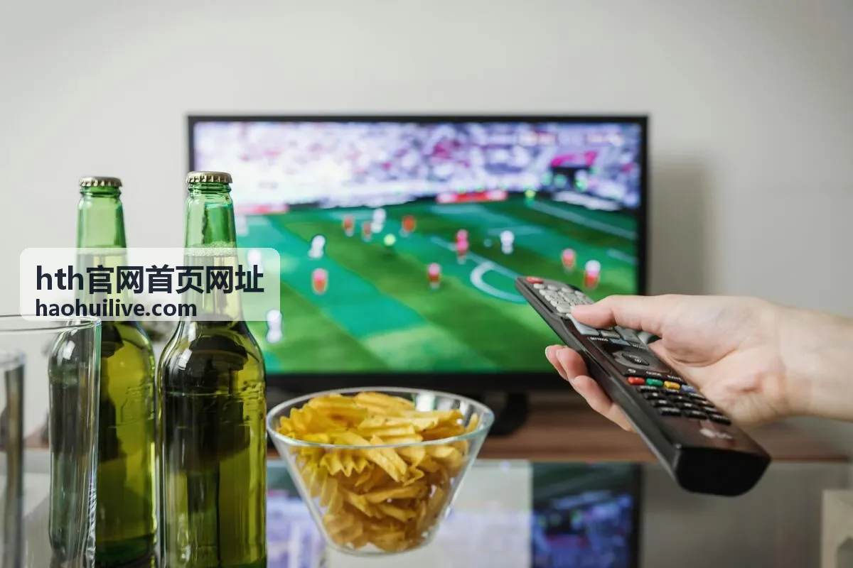 hth官网首页网址入口页面示意