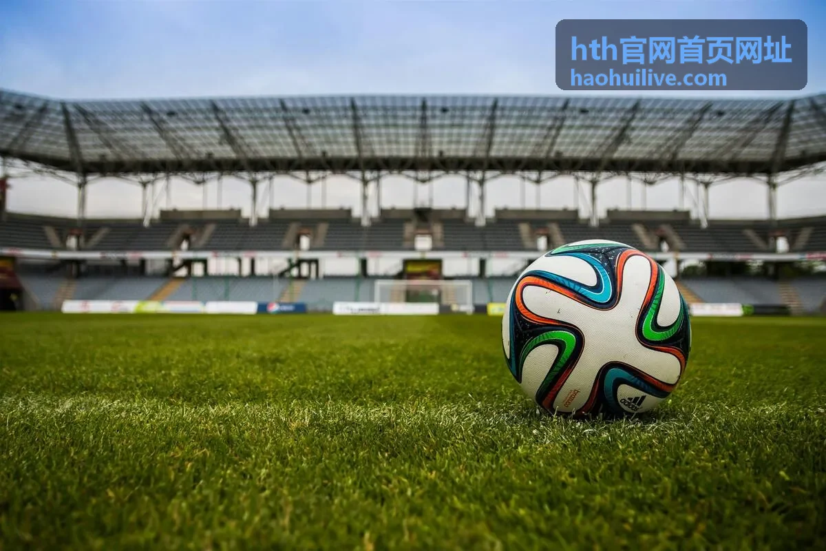 hth官网首页网址访问支持中心的问题提交与处理界面示意